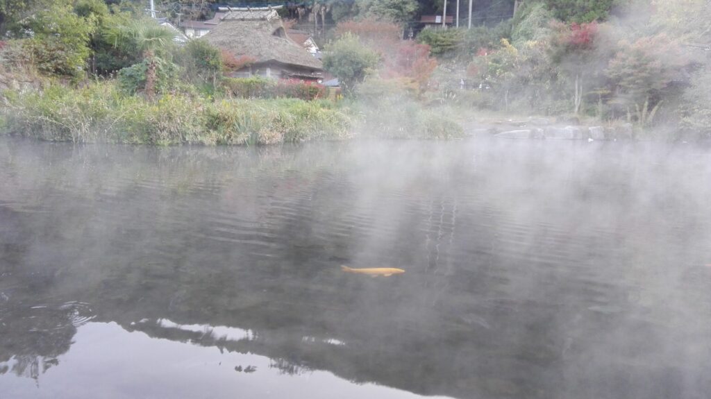 早朝の金鱗湖。湯けむりが立つ景色は、働きに来ていることを忘れる時間でした。